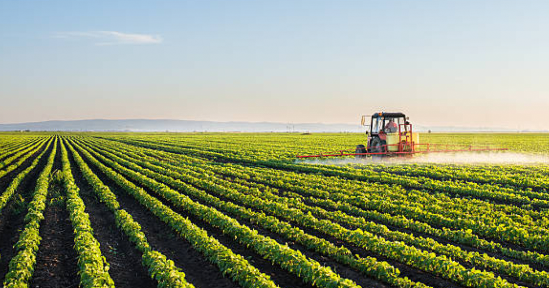 CELEBRATING KERN COUNTY AGRICULTURE Kern County Raceway Park